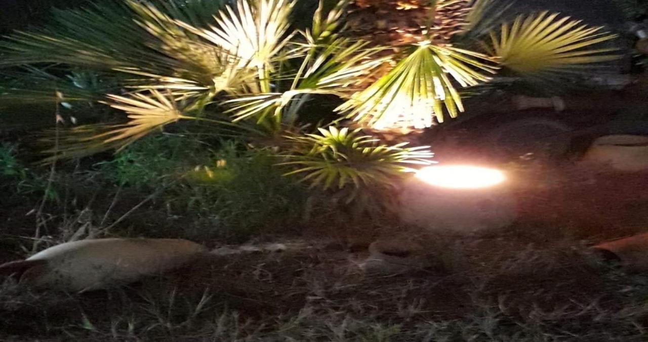 Le Due Palme Hotel Marsala Kültér fotó